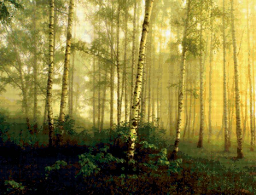 природа - пейзаж, дерево, природа - предпросмотр