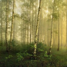 Схема вышивки «природа»