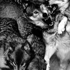 Схема вышивки «дележка»