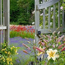 Схема вышивки «огород»