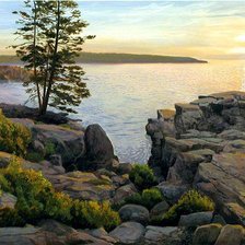 Схема вышивки «картина»