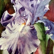 Схема вышивки «ирис»