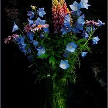 Схема вышивки «колокольчики»