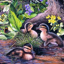 Схема вышивки «Милые утята»