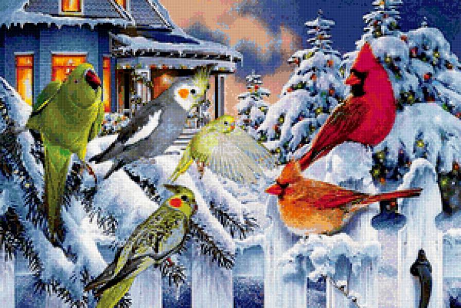 Птички - зима, птицы - предпросмотр