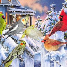 Схема вышивки «Птички»