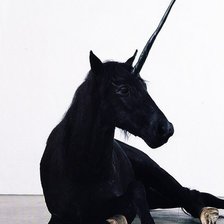 Схема вышивки «Черный Единорог»