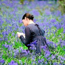 Схема вышивки «№429966»