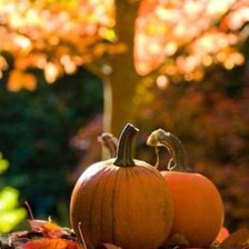 Схема вышивки «№429992»