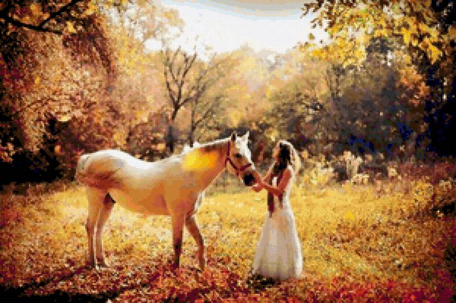 №429995 - предпросмотр