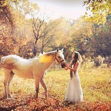 Схема вышивки «№429995»