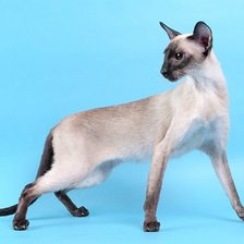 Схема вышивки «№430003»