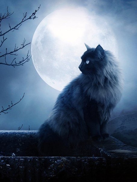 №430013 - оригинал