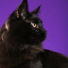 Схема вышивки «мяуси»