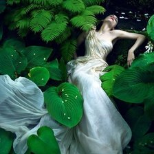 Схема вышивки «№430031»