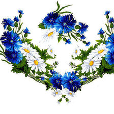 Схема вышивки «васильки»