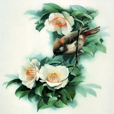 Схема вышивки «№430117»