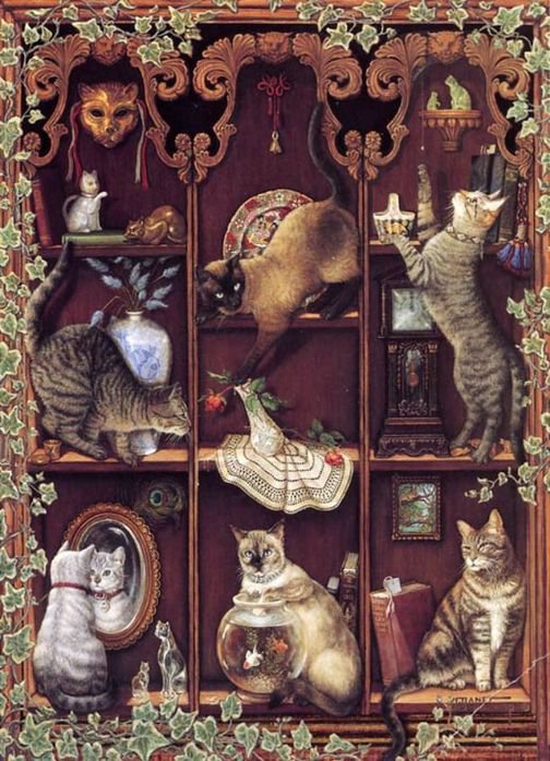 №430238 - мило, домашние животные, кошки, полки, коты - оригинал