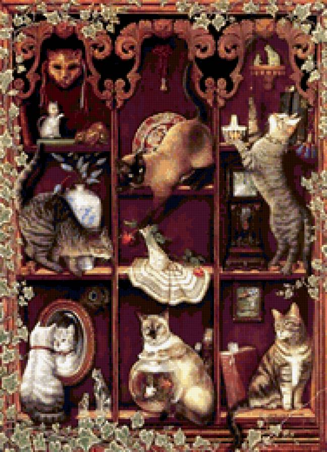 №430238 - коты, полки, кошки, мило, домашние животные - предпросмотр