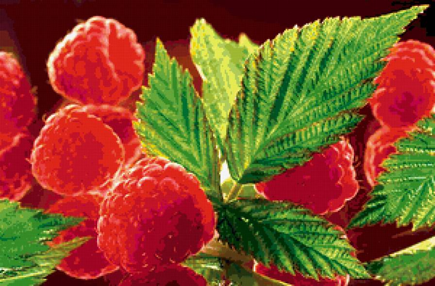 малинка - природа, ягода, малина, еда - предпросмотр