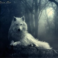 Схема вышивки «Волк»