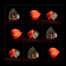 Схема вышивки «Физалис»