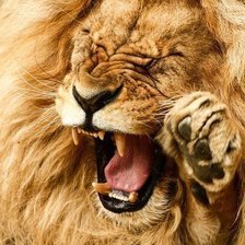 Схема вышивки «Лёвушка»