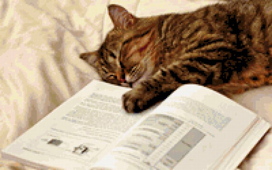 кот-ученый - предпросмотр