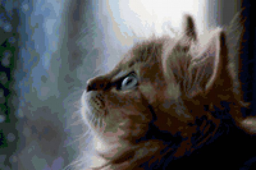 Котенок - животные, кошка - предпросмотр