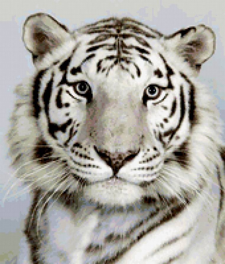портрет тигра 2 - животные, кошки - предпросмотр