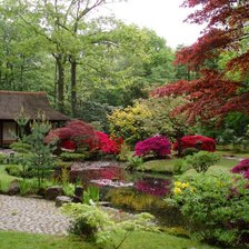 Схема вышивки «Японский сад»