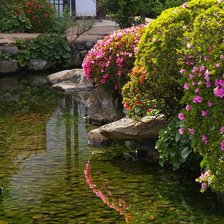 Схема вышивки «Прудик в саду»