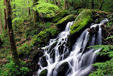 Схема вышивки «водопад»