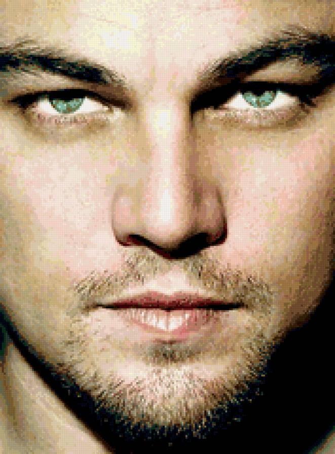 Леонардо ди Каприо - предпросмотр