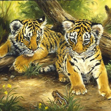 Схема вышивки «0072»