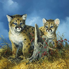 Схема вышивки «0143»