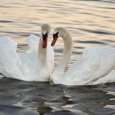 Схема вышивки «№431036»