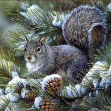 Схема вышивки «Белочка»