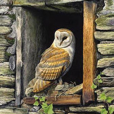 Схема вышивки «сова»