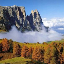 Схема вышивки «№431204»