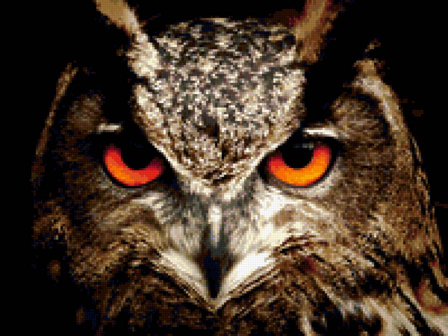 Филин - животные, птицы - предпросмотр