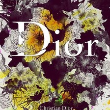 Схема вышивки «Dior»