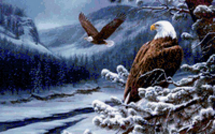 Короли неба - зима, птицы, животные - предпросмотр