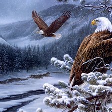 Схема вышивки «Короли неба»