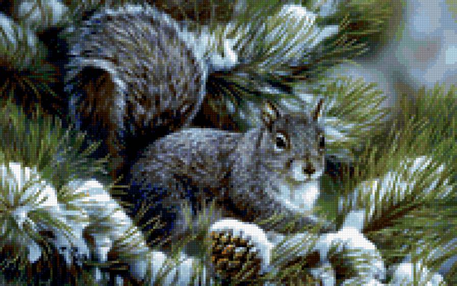 Белочка - природа, животные, зима - предпросмотр