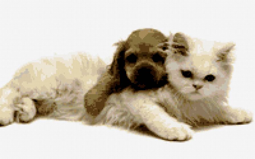 Друзья - кот, друзья, собака - предпросмотр