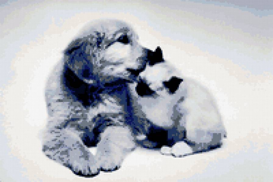 Котопёс - собака, кот, друзья, пес - предпросмотр