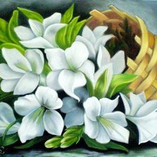 Схема вышивки «Белые цветы»