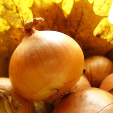 Схема вышивки «ЛУК»