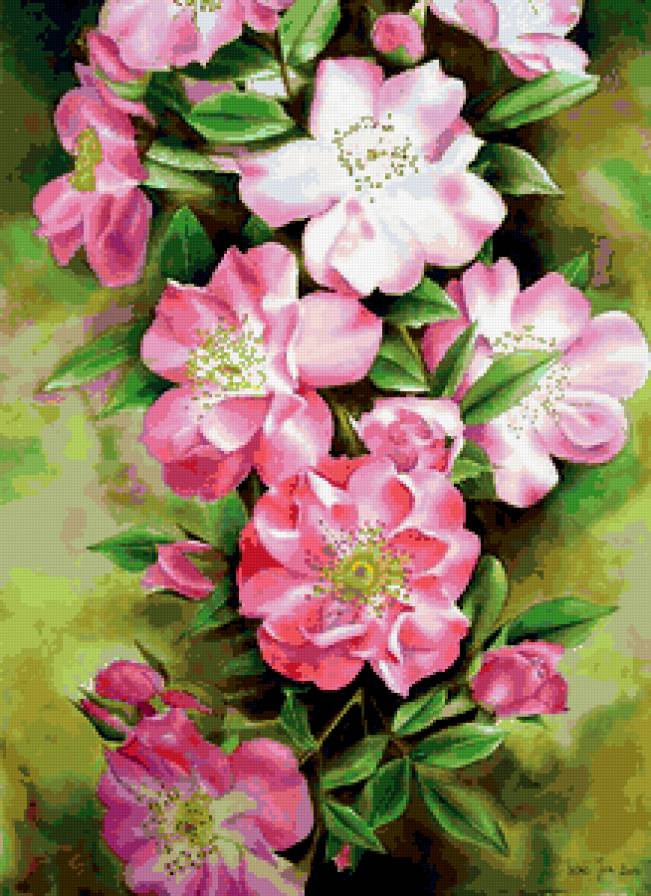 Серия "Букет" - букет, цветы, шиповник - предпросмотр